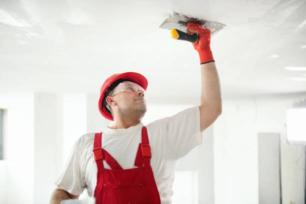 Best Ceiling Drywall Installation  in Stuart, IA